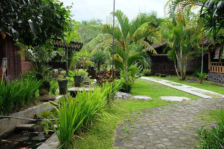 desa wisata kembangarum