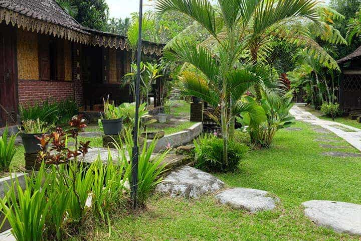 desa wisata kembangarum